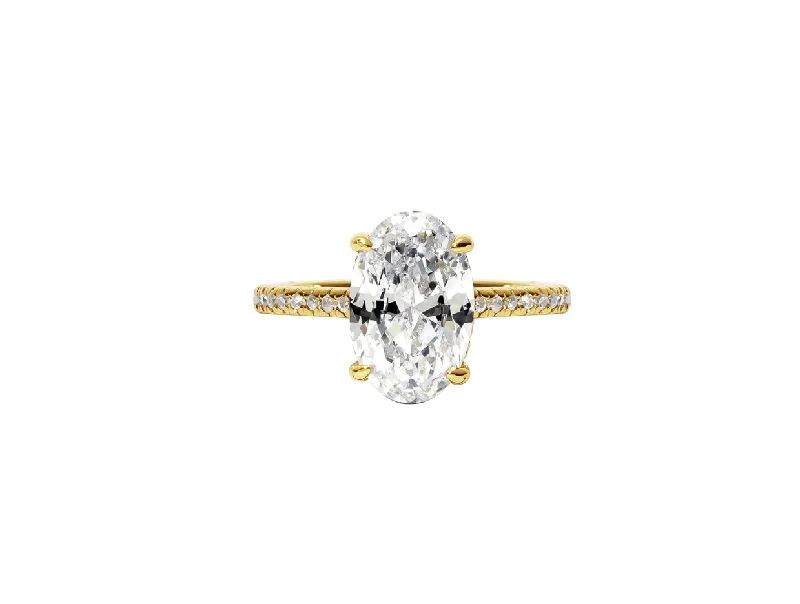 Engagement rings with diamond clusters for a unique, intricate design with extra sparkle -The Brie Ring (3.5 Carat)