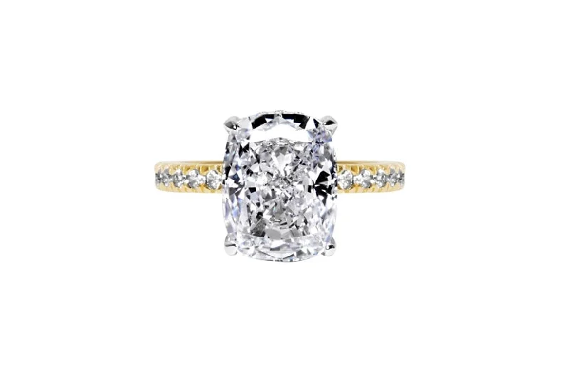 Engagement rings with cathedral settings for an elevated and elegant diamond presentation -The Sienna Ring (4 Carats)