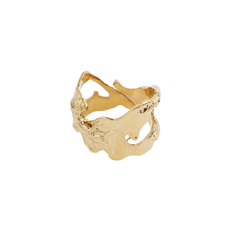 Rings inspired by rivers with flowing stones -COMPASS organic shaped ring gold-plated