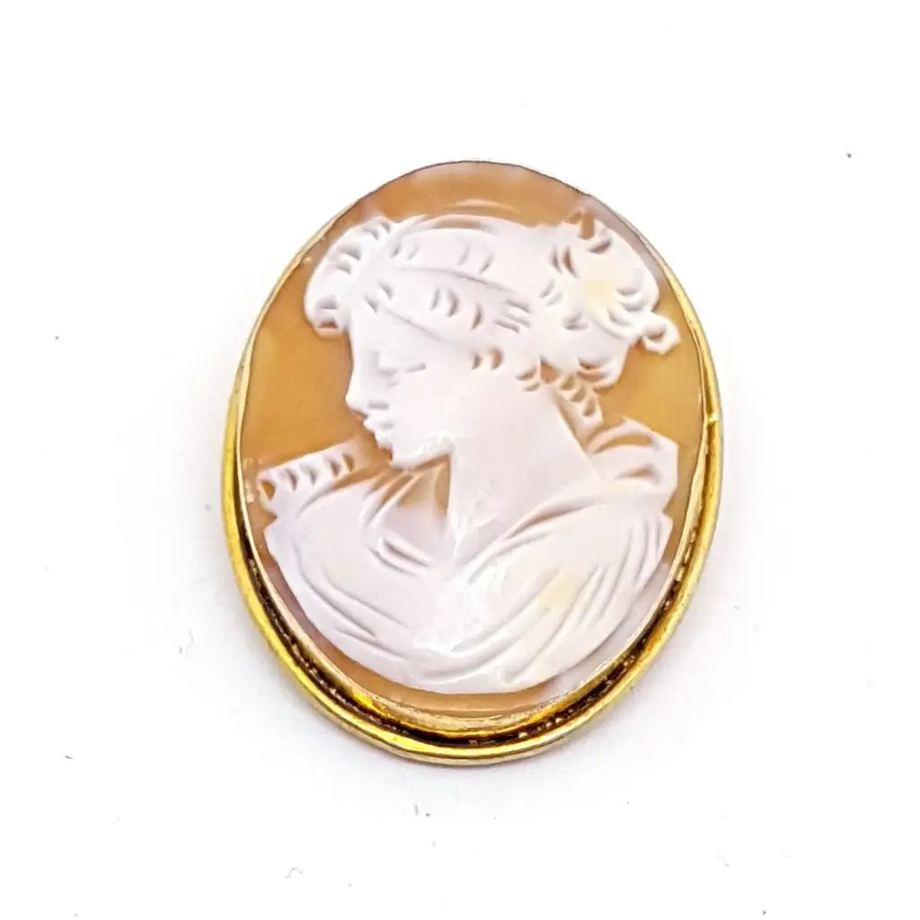 Charm brooches and pins with dangling stone accents -Antique Victorian carved shell cameo, pendant and brooch. sxx. Jeweler's.